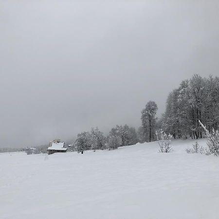 Cottage In บาคูเรียนี ภายนอก รูปภาพ